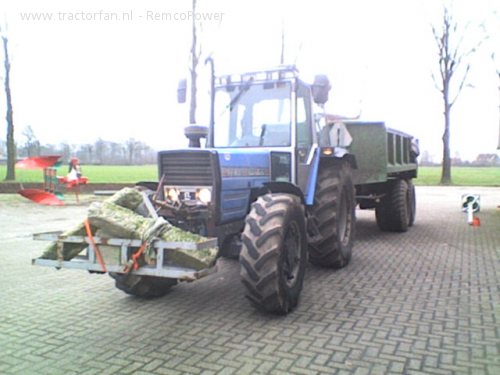 LANDINI